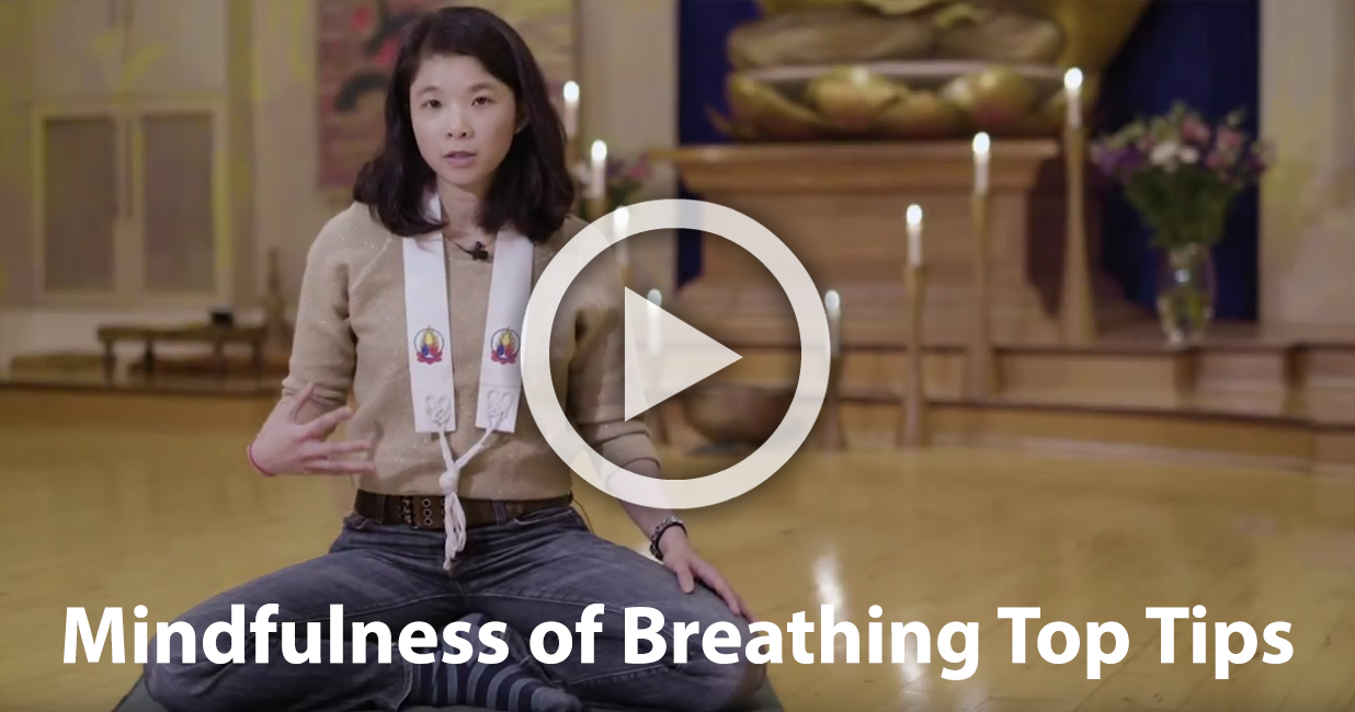 Mindfulness of Breathing Top Tips